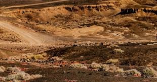 你在为谁证明自己（你究竟在向谁证明自己）